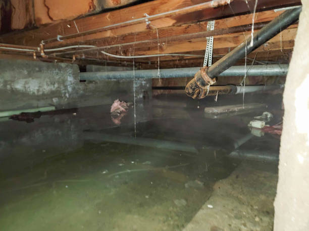Best Water damage cleanup near me  in Caddo, OK