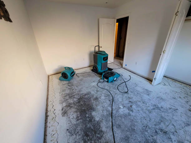 Best Emergency water damage restoration  in Caddo, OK