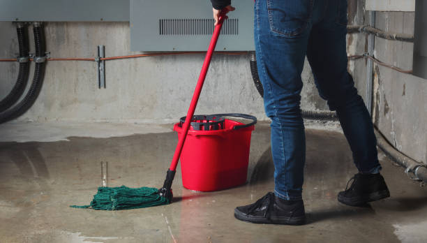 Best Mold removal after water damage  in Caddo, OK
