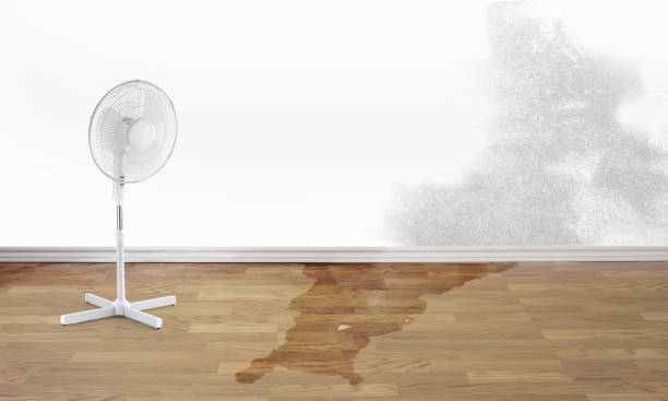 Best 24-hour water damage restoration  in Caddo, OK