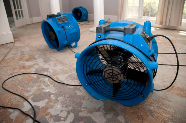 Best 24/7 water damage repair  in Caddo, OK